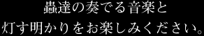 蟲達の奏でる音楽と灯す明かりをお楽しみください。