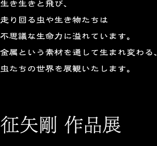 生き生きと飛び、走り回る虫や生き物たちは不思議な生命力に溢れています。金属という素材を通して生まれ変わる、虫たちの世界を展観いたします。