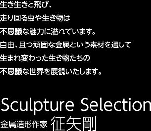 生き生きと飛び、走り回る虫や生き物は不思議な魅力に溢れています。自由、且つ頑固な金属という素材を通して生まれ変わった生き物たちの不思議な世界を展観いたします。